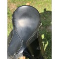 Selle apollo apprentissage noire