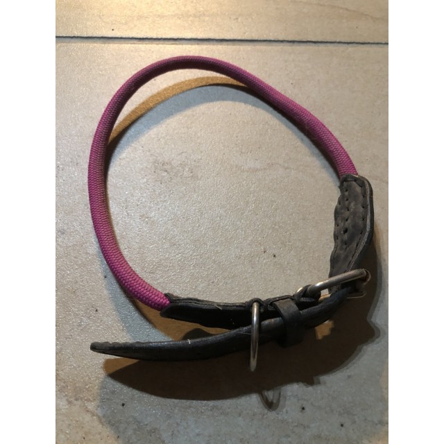 Collier pour chien