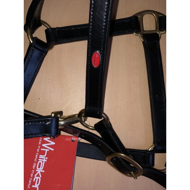 Licol cuir noir Whitaker