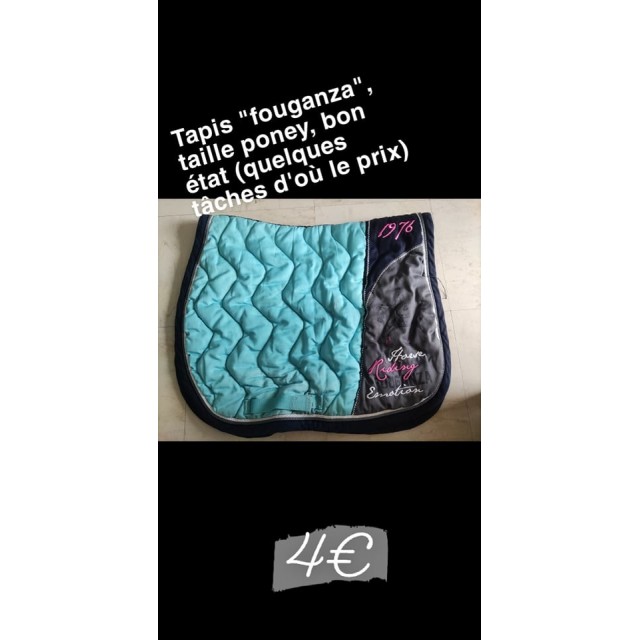 Tapis poney