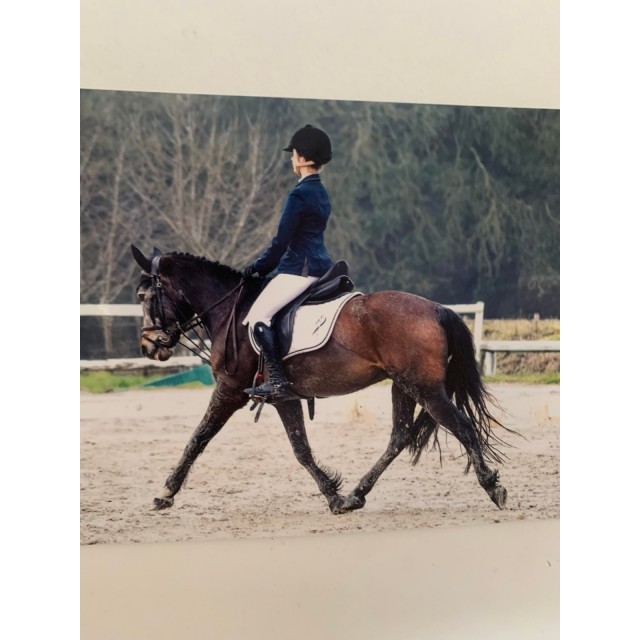 veste Pikeur bleu marine