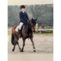veste Pikeur bleu marine