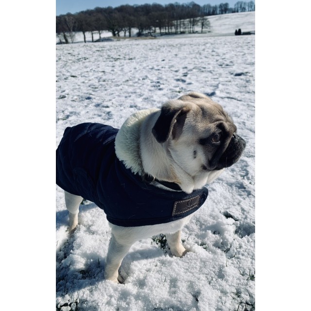Manteau Kentucky XS