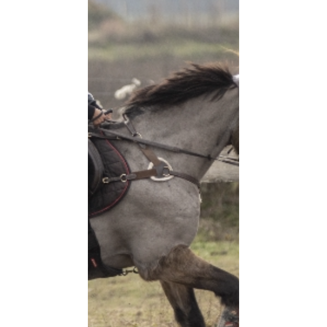 Collier chasse 5 poids