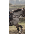 Collier chasse 5 poids