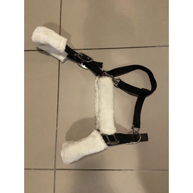 Licol mouton