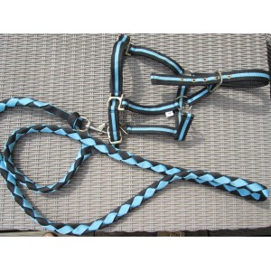 Licol taille Cob