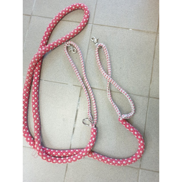 Enrênement taille cheval