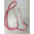 Enrênement taille cheval