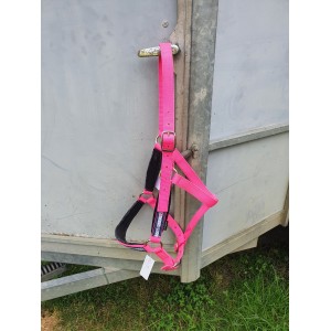 Licol rose