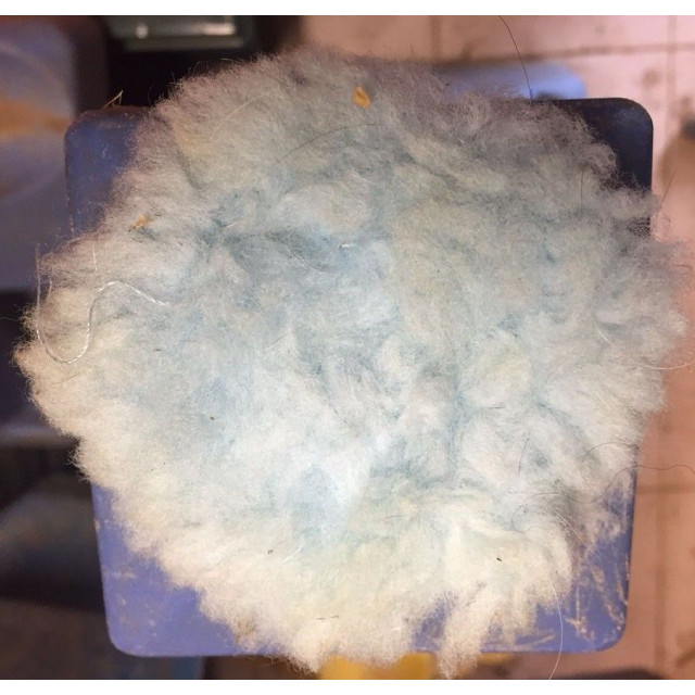 Rond de muserolle bleu ciel