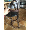 Bridon marron