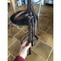 Bridon marron