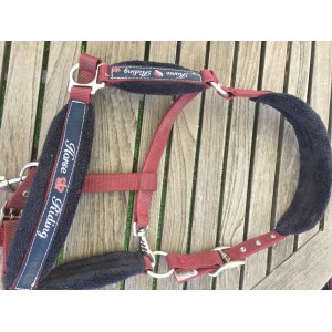 Licol taille poney