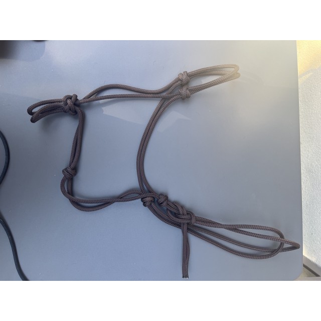 Licol en corde marron
