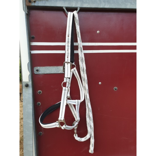 Licol & longe cheval