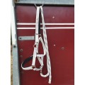 Licol & longe cheval