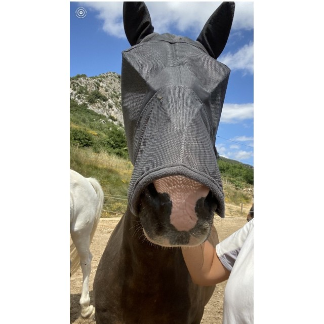 Masque Anti Mouche