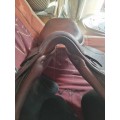 Selle brunet pineau 17