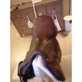 Selle brunet pineau 17
