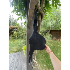 bavette CWD