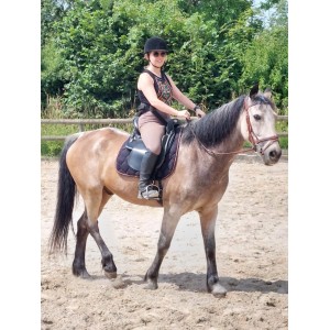 Selle Sommer voyage