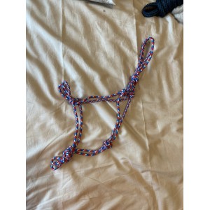 Licol éthologique