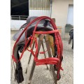 Filet rouge Norton
