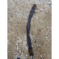 Sangle anatomique