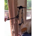 Collier de chasse 5 points