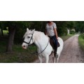 Filet Döbert Classic Full Droit