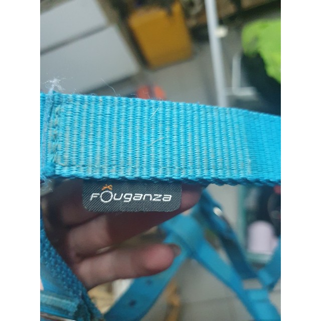 Licol bleu