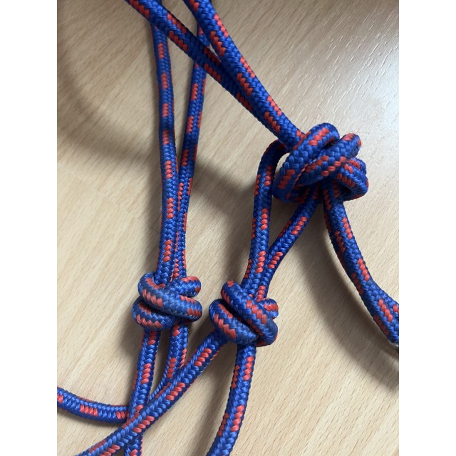 Licol éthologique bleu et rouge taille cheval