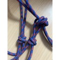 Licol éthologique bleu et rouge taille cheval