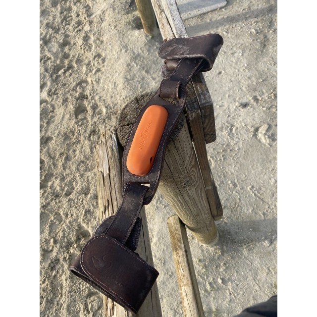 Capteur motion equisens + sangle + chargeur