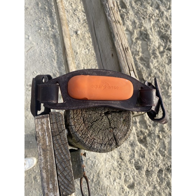 Capteur motion equisens + sangle + chargeur