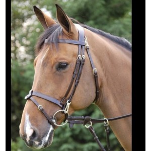 Bridon taille cob
