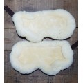 proteges boulets mouton