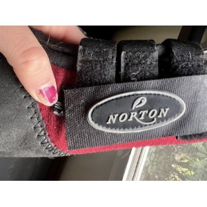 Protection Norton