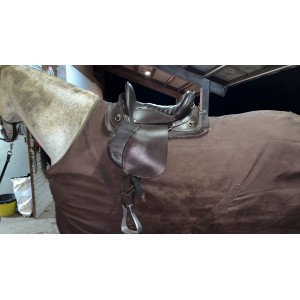 Selle australienne