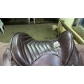 Selle australienne