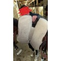 Selle australienne