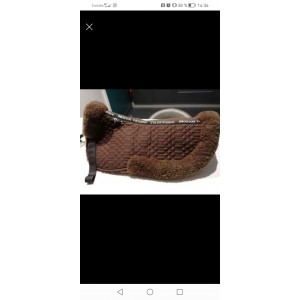 Amortisseur mouton véritable