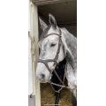 Bridon Montar Monarch Full