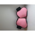 Protections NORTON PRO