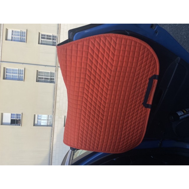 Tapis Syne
