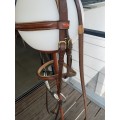 Bridon cuir Passional taille full / cheval