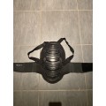 Coque dorsale