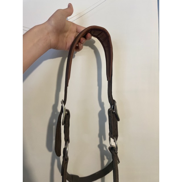 Licol marron en synthétique (effet cuir)