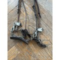equibride cuir
